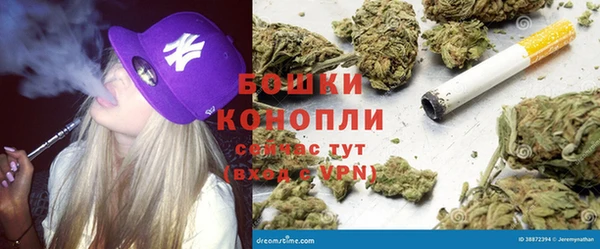 СК Балахна