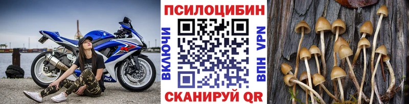 Псилоцибиновые грибы Psilocybine cubensis  что такое   Сердобск 