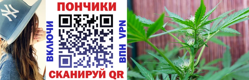 Бошки Шишки Bruce Banner Сердобск